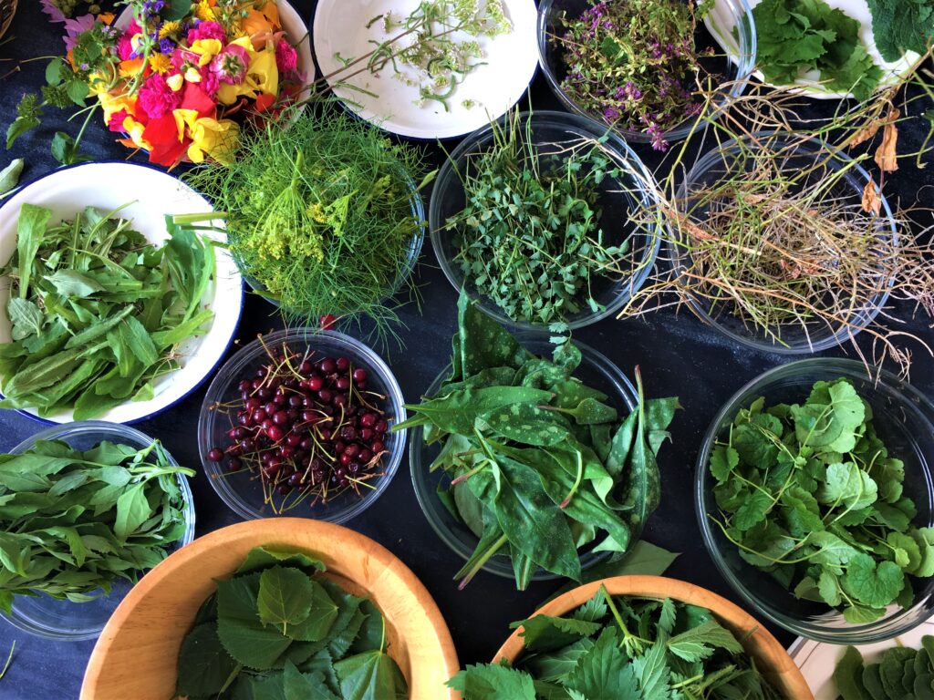 Cueillettes stage Bussière