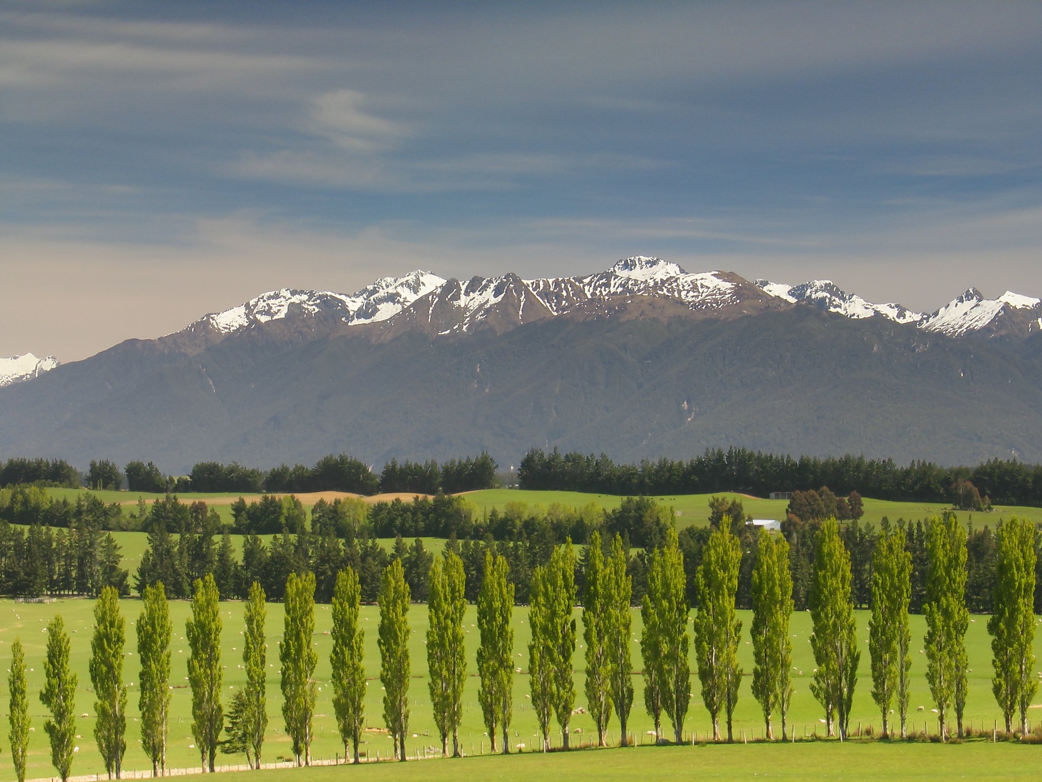 Peupliers - photo Peter Nijenhuis