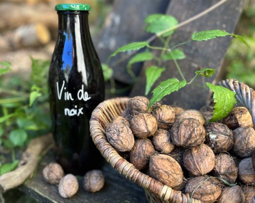 Vin de noix - copie